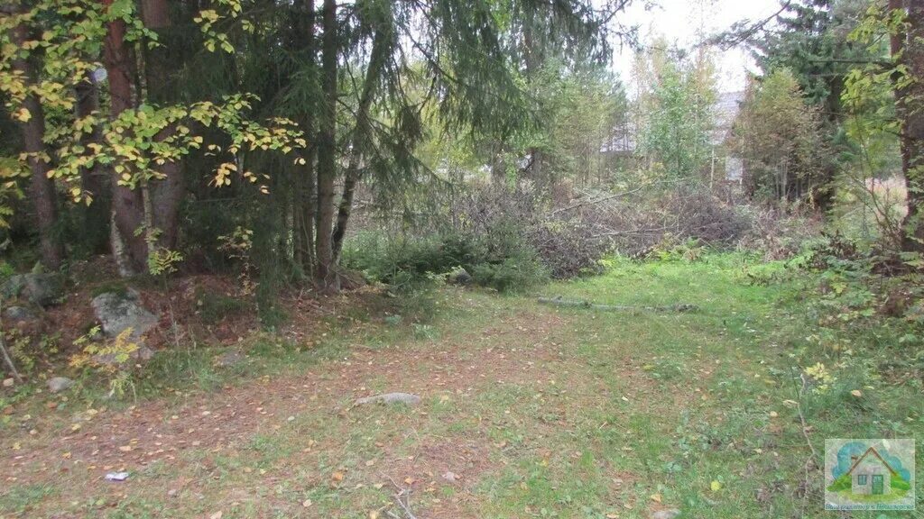 Бор ижс. Участок судаково. Деревня судаково домодедово. Новое судаково. Участок судаково.