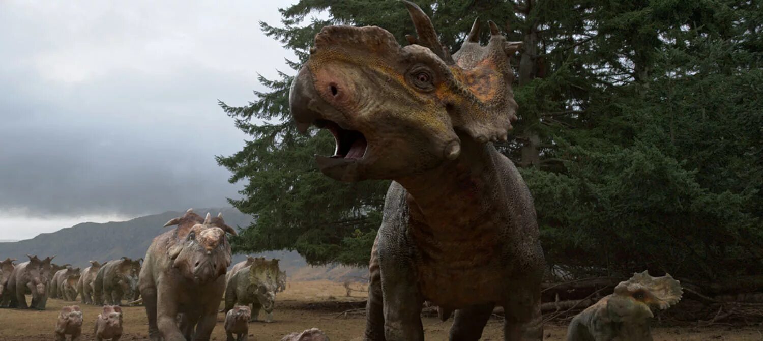 Прогулка с динозаврами 3d. Трицератопс прогулки с динозаврами. Пахиринозавр прогулки с динозаврами. Прогулки с динозаврами 3d 2013.