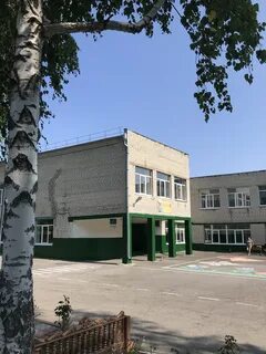 Школа 43 курск