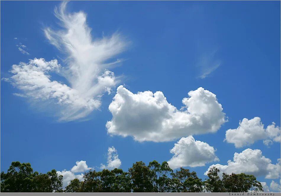 Богомолов букет из облаков. Облака. Красивые облака. На что похожи облака. Фигуры из облаков.