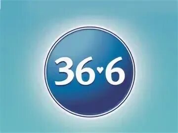 Менее 36 6