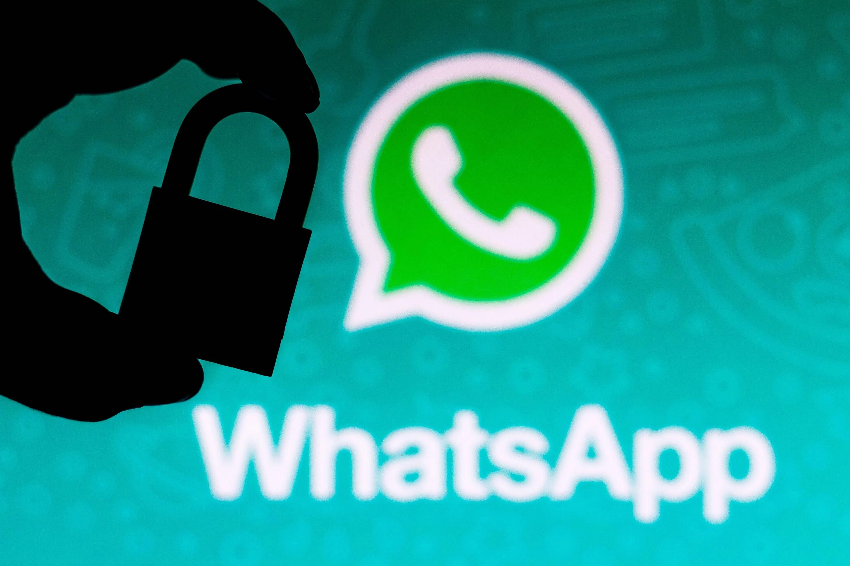 Ватсап 5 декабря. Ватсап. whatsapp privacy. ватсап 2025. whatsapp update.
