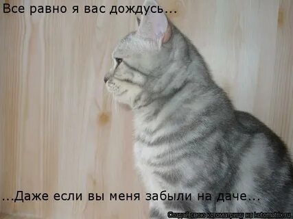 Подожди даже