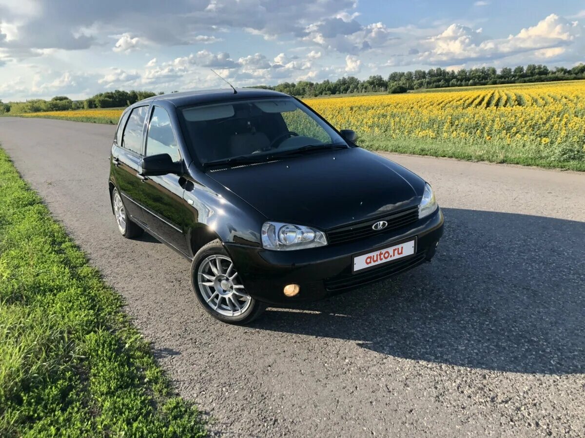 калина борисоглебск