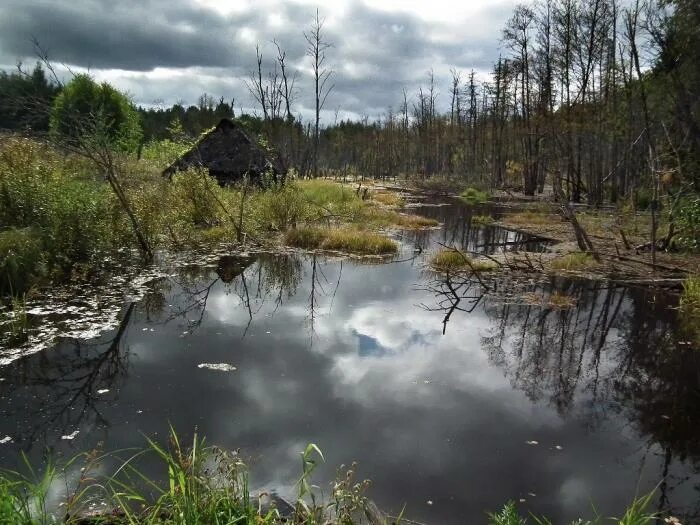 Поселок березайка тверская область. Речка березайка тверская область. Березайка тверская. Погода в березайке. Погода в березайке.