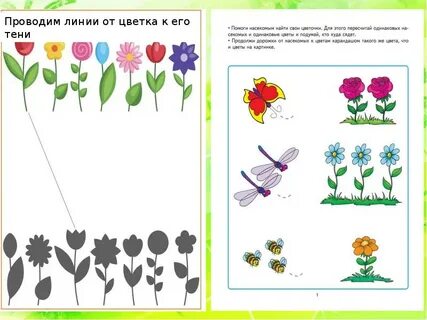Задание луговые цветы