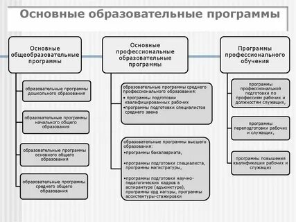 Виды программ обучения