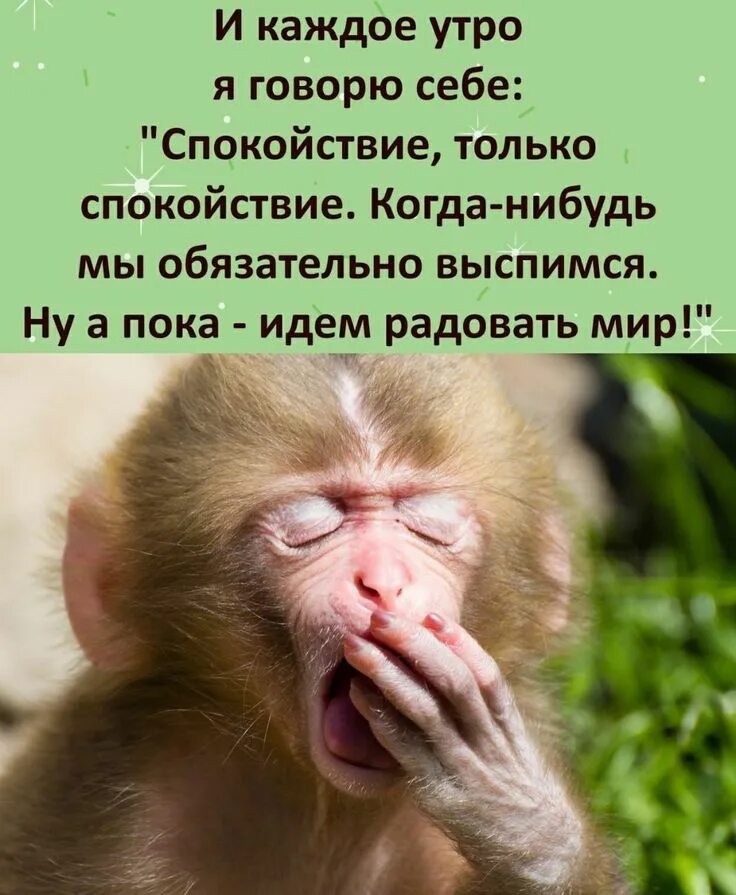 Открытка опять на работу. Спать демотиватор. Скорей бы понедельник и снова на работу. Открытка опять на работу. Опять на работу картинки.