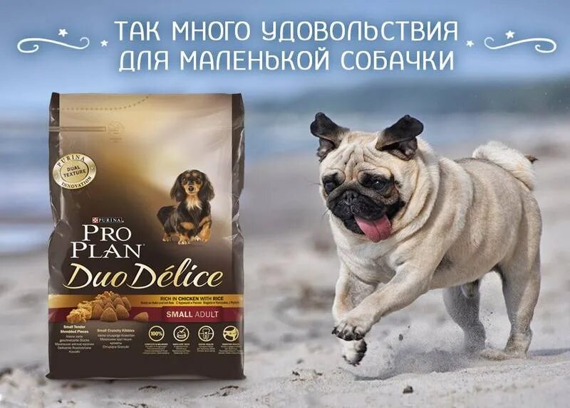 Pro Plan Duo Delice. Реклама корма для собак. Собачий корм реклама. Рекламный баннер корм для собак.