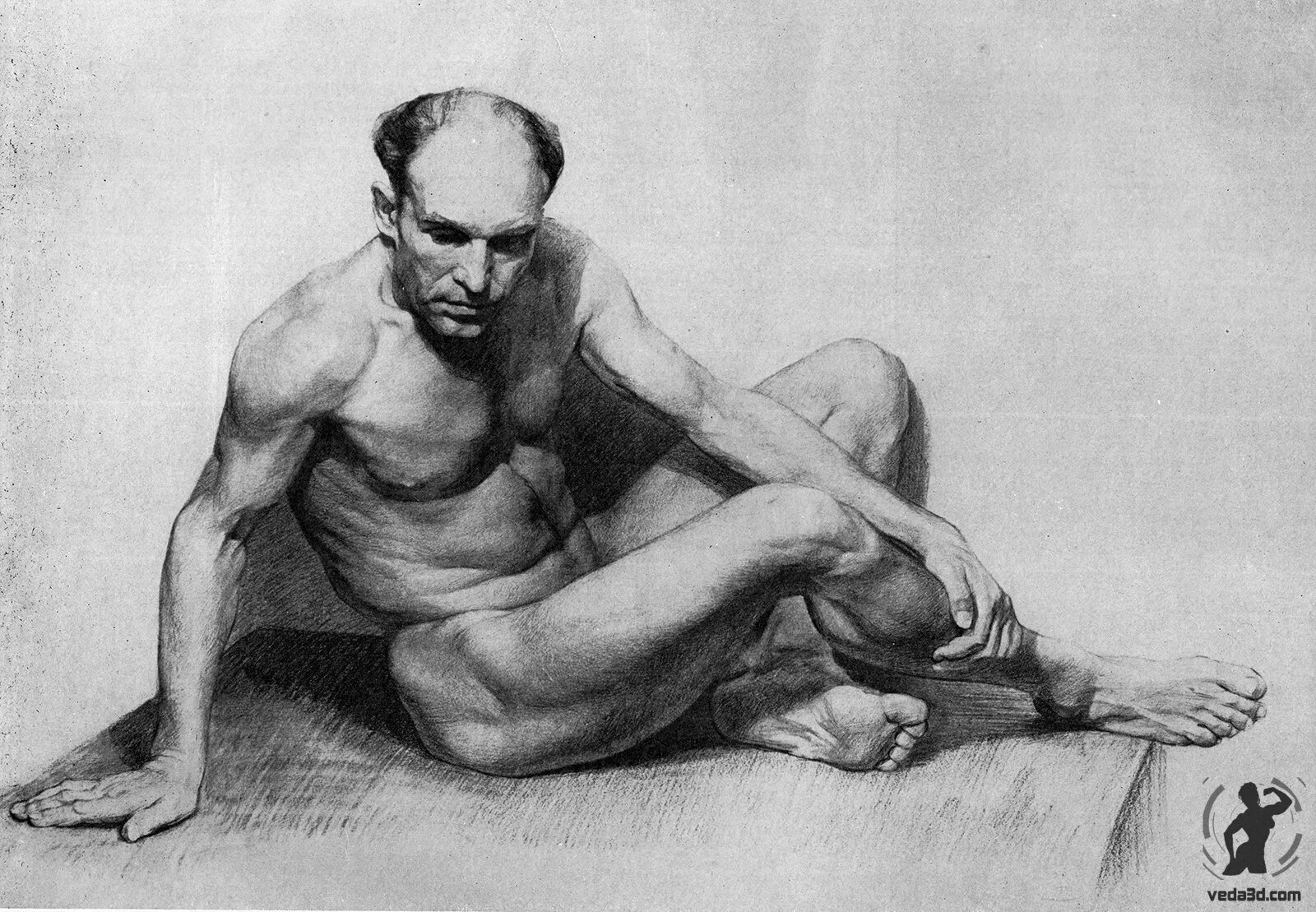 Натура его друзья. Позирование для рисования с натуры. позы для рисования с натуры. натура для рисования человек. зарисовки натурщиков.