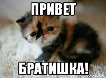 Привет братишка