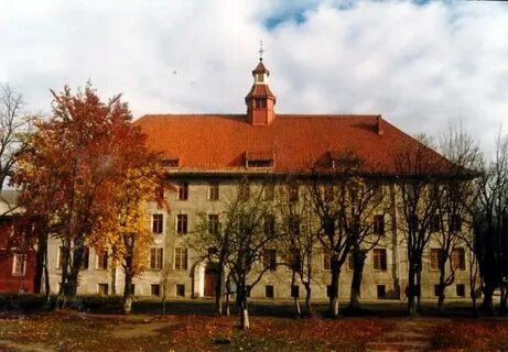 Лицей 1 балтийск электронный