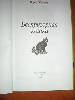Житков беспризорная кошка