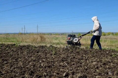За 6 дней трактор вспахал 390 га