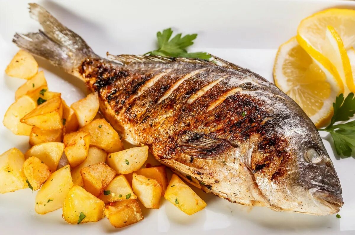 Море вкусного рыба