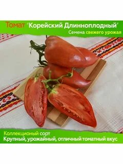 Томат корейский