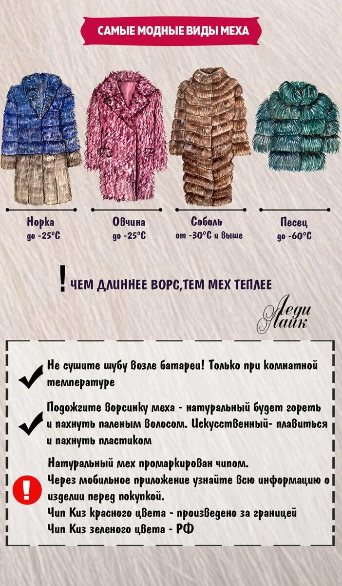 Шуба из русского соболя. Шуба из чернобурки выкройка. Шубка описание. Объявления шуб. Скидки на шубы в магазинах.