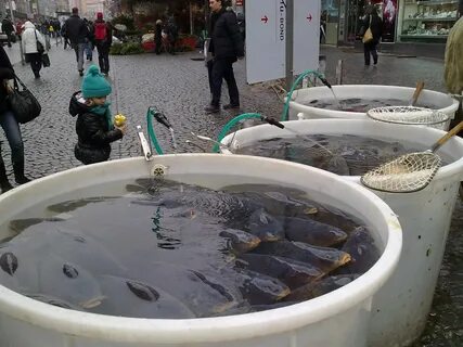 Рыба бочка