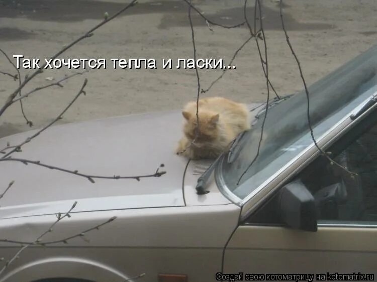 хочется любви и ласки а вокруг. хочу любви. хочу ласки тепла. хочется тепла. женщины с которыми хочется просыпаться.