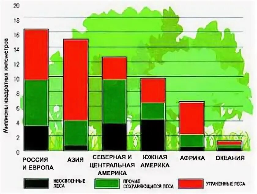 Биоресурсы австралии. Ролл флорида. Кухня японии. Лесами покрыто 65 суши. Нагоя суши.