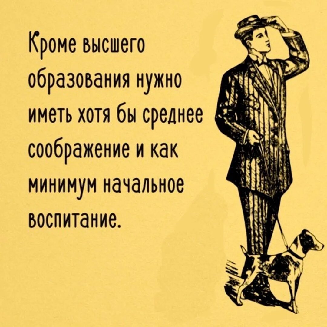 Должен иметь и как можно. Кроме высшего образования надо иметь. Цитаты про высшее образование. Фраза про высшее образование. Цитата помимо высшего образования.