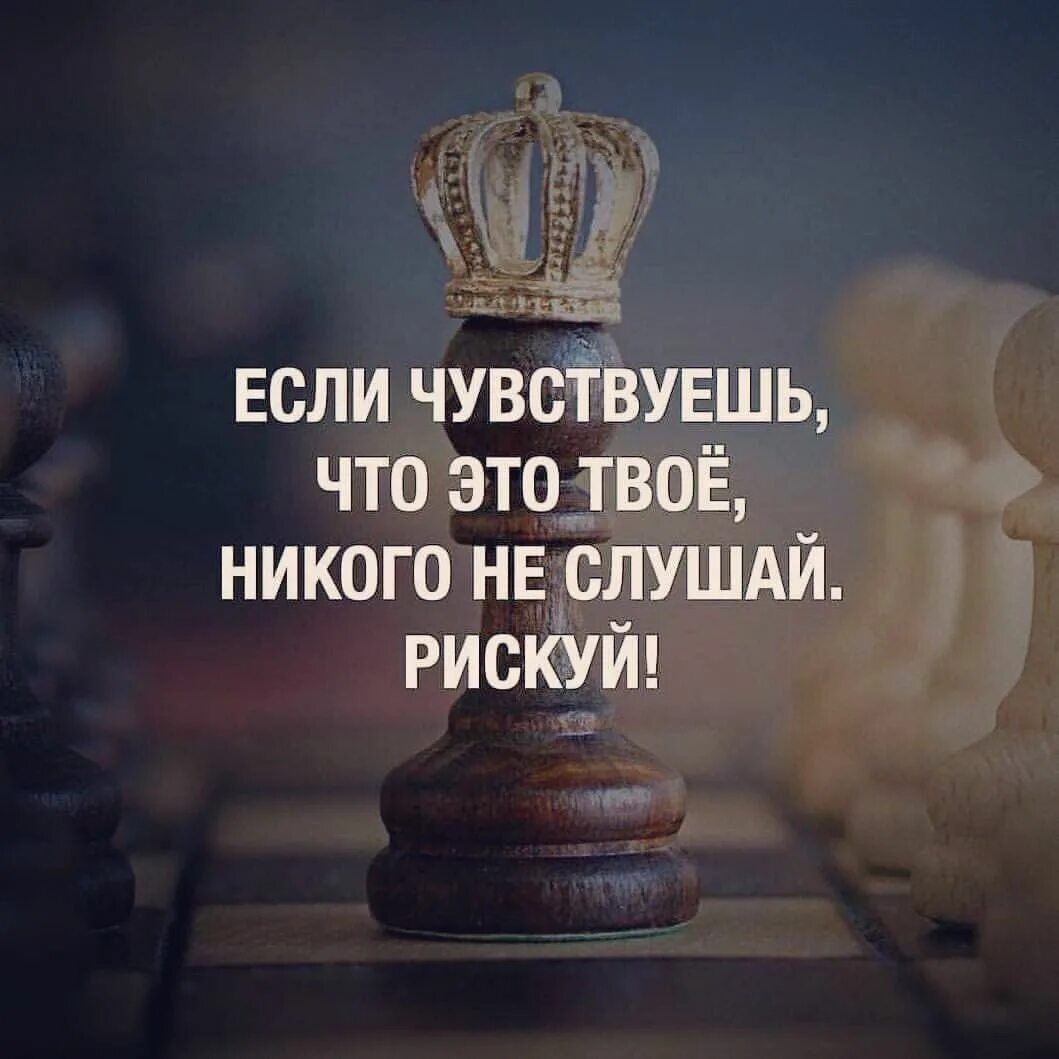 Если чувствуешь что твое рискуй. Высказывания о шахматах. Если чувствуешь что это твое. Афоризмы про шахматы.