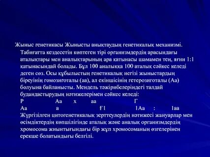 Шахзоданың өзбек порно суреті