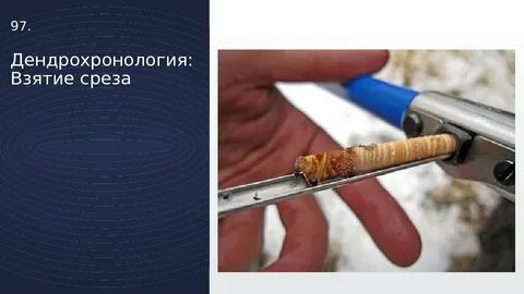 Дата среза