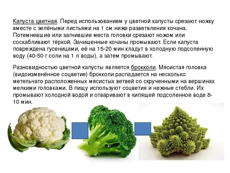 Обработка капустных овощей. Систематика капуста цветная. Обработка цветной капусты. Строение цветной капусты. Полезные вещества в цветной капусте.