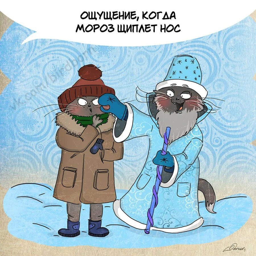 Очень холодно утро. Шутки про зиму. Зимние картинки прикольные. Смешные картинки про зиму. Приколы про Мороз.