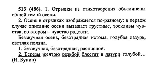 Русский 6 класс 2 часть номер 524. Русский язык 5 класс упражнение 513. Русский 5 класс упражнение 524. Русский русский язык 5 класс 2 часть упражнение 524. Русский язык 5 класс практика упражнение 524.