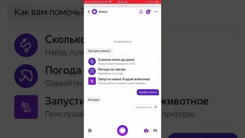 Переведи на китайский серая алиса