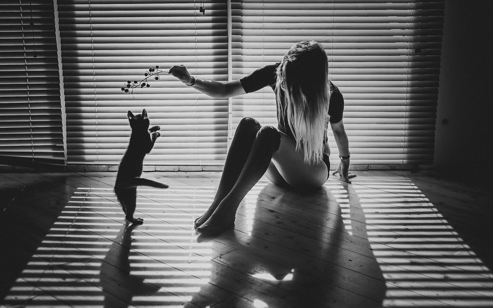 Картинка девушка с кошкой. Девушка кошка. Тень девушки. Фотосессия с кошкой. Девушка чб.