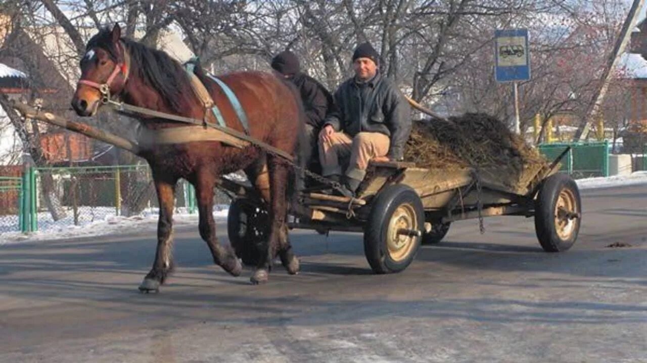 В лимузине новеньком еду как на лошади. Телега с лошадью. Кобыла с телегой. Конь с телегой. Автомобиль запряженный лошадью.