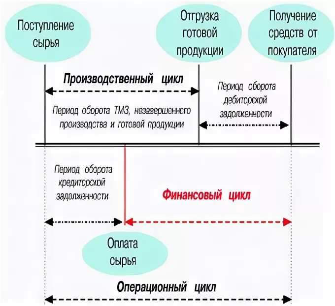 Этапы финансового цикла. Структура финансового цикла. Производственный цикл операционный цикл финансовый цикл. Операционный цикл и финансовый цикл. Производственный операционный и финансовый циклы.