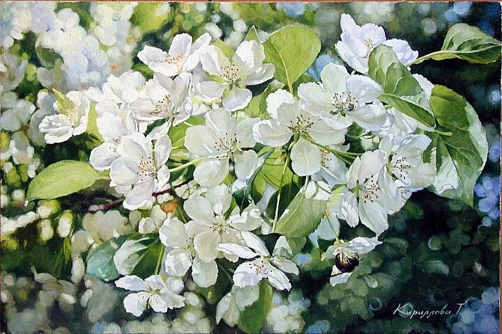 Манхва груша расцветающая цветами. Цветовая палитра сочетание. Груша цветет стихи. Манхва груша расцветающая цветами. Юкито яой.