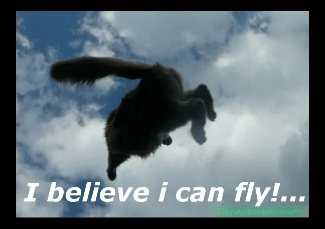 I can fly исполнитель. I believe i can Fly Мем. I believe i can Fly прикол. I believe i can Fly картинки. I believe i can Fly гиф.