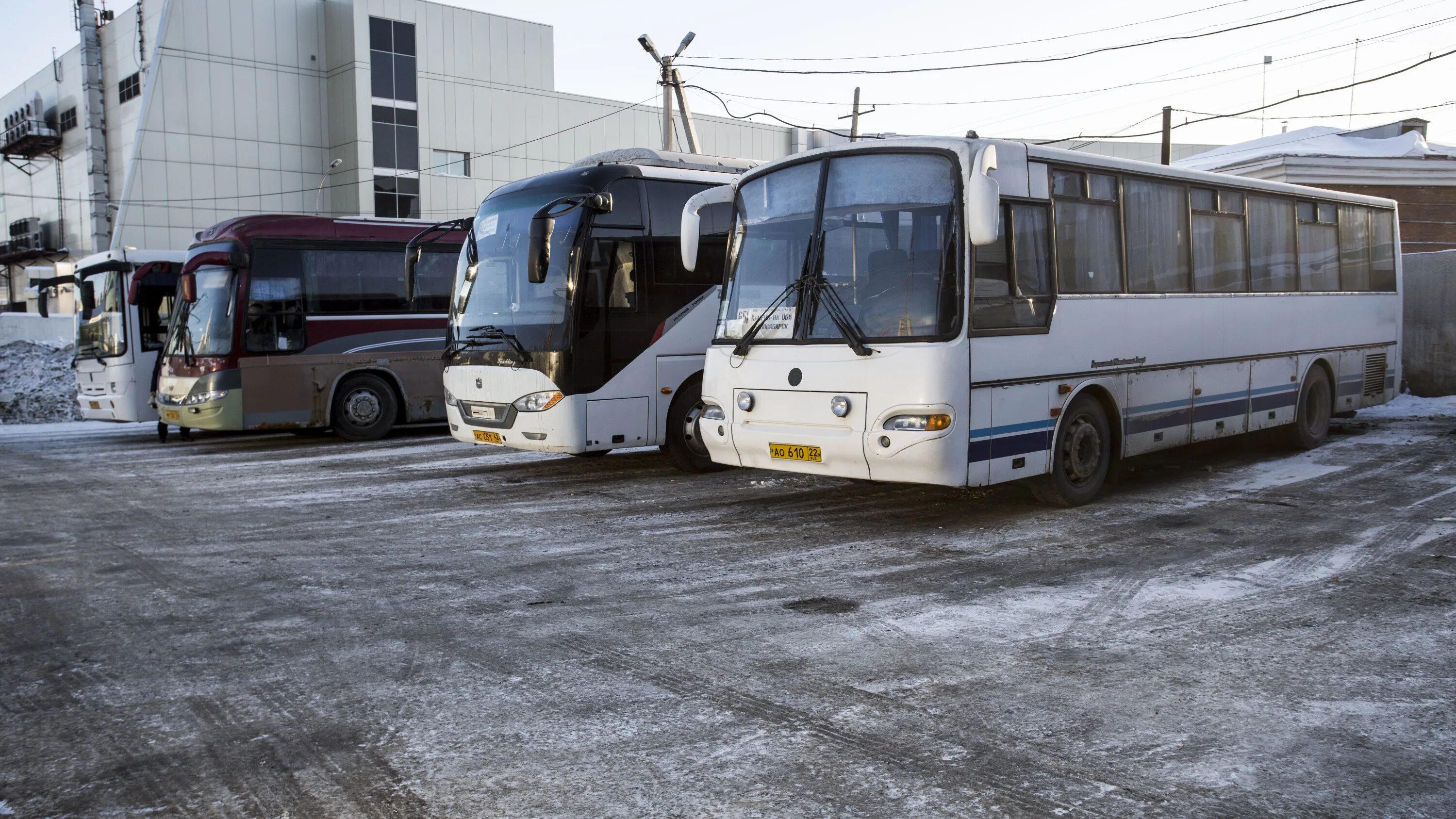 Рейсовый автобус новосибирск. Автовокзал Новосибирск автобусы. Новосибирск Павлодар автобус. Новосибирск семей автобус. Автобус Купино.