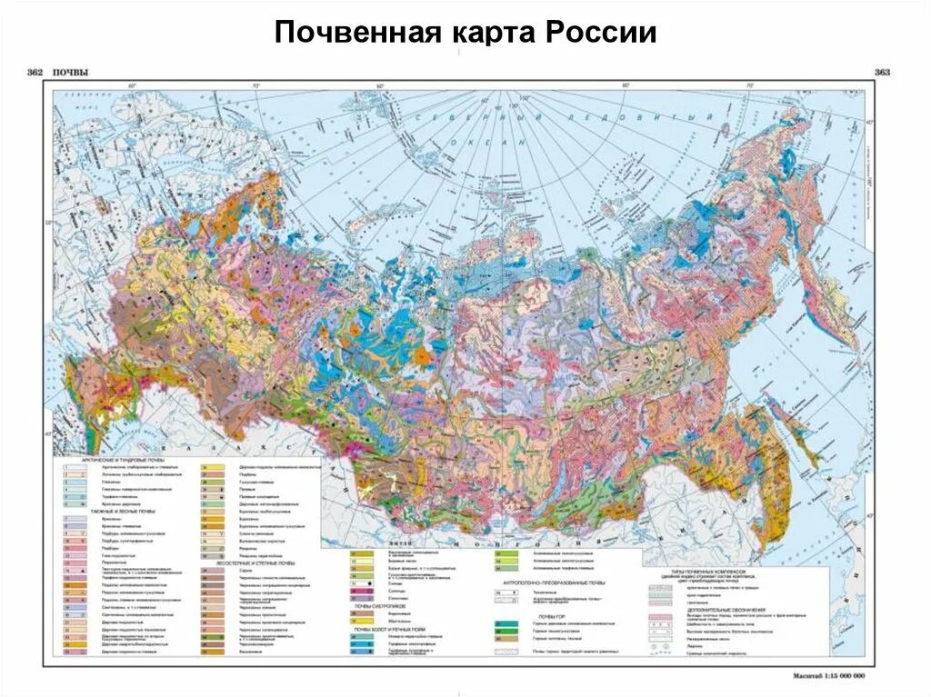 Почвенная карта школьного атласа дает. Карта плодородия почв РФ. Физическая карта России почвы. В цвете карта почв России. Почвенная карта России карта.