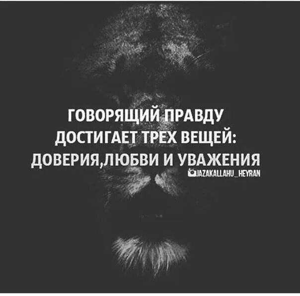 Говорящий правду достигает трех вещей доверия любви и уважения. Говорящий правду достигает трех вещей. Мы добиваемся не правды а эффекта. Человек говорящий правду достигает. Доверие вещей