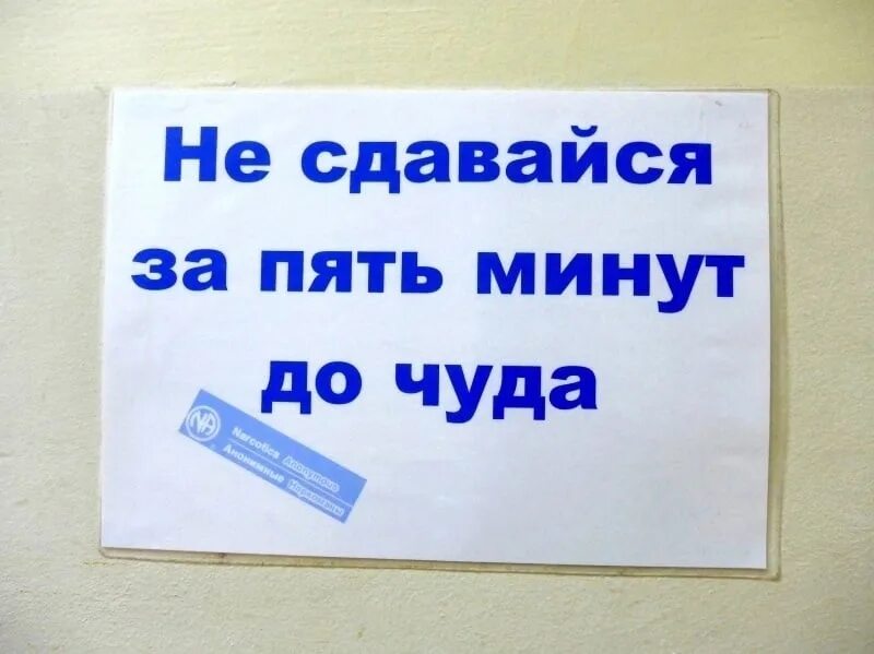 5 минут для того чтобы