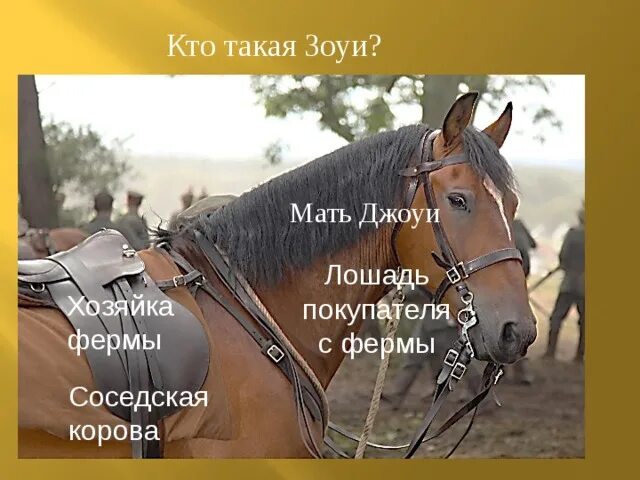 Лошадь с лентами. Как подзывают лошадей. Кого зовут лошадью. Как зовут л.