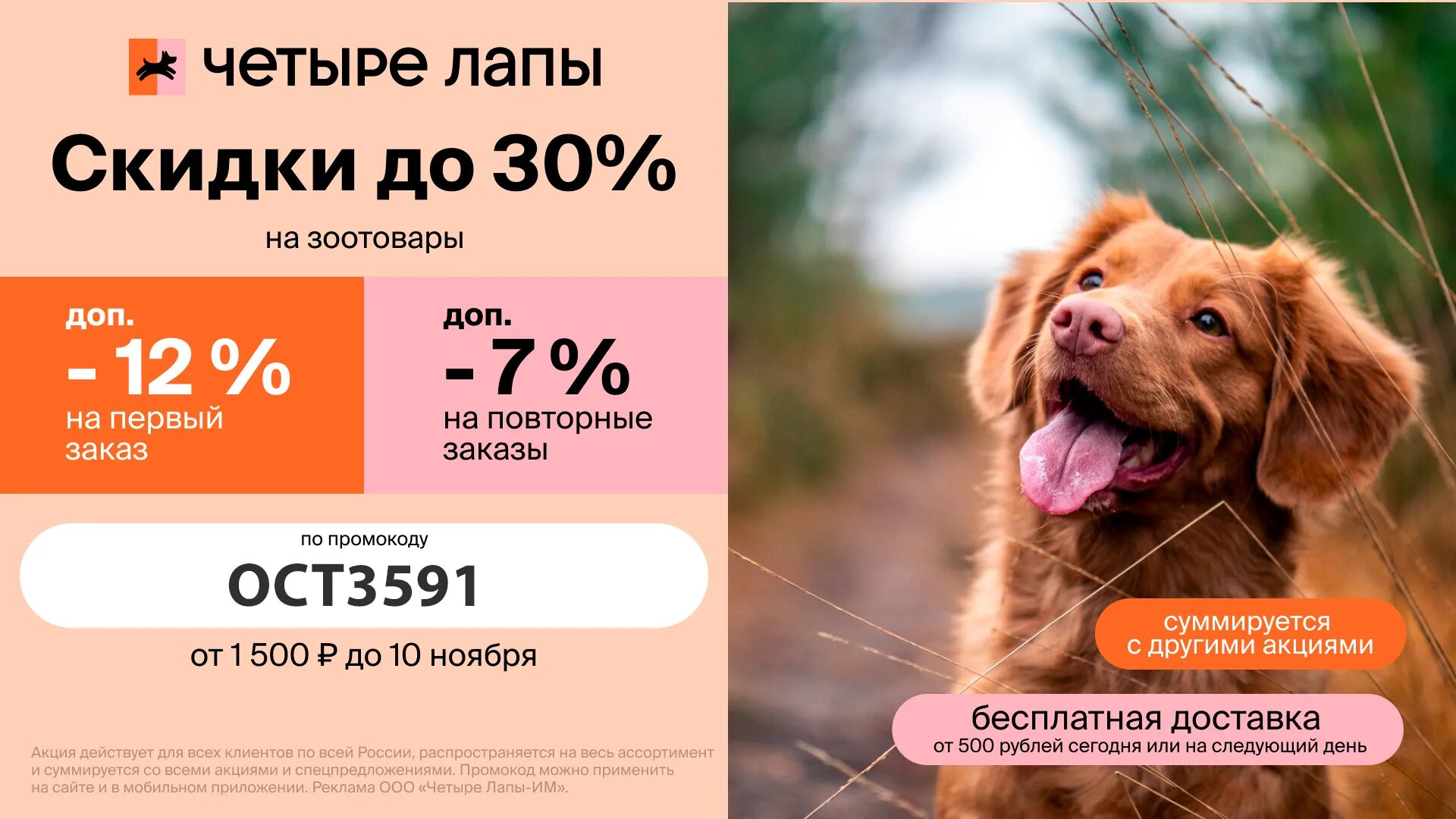 4 лапы реклама. четыре лапы каталог. четыре лапы спб. 4 лапы интернет-магазин. 4 лапы на первый заказ.