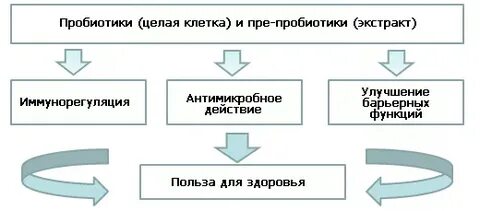 Функции пробиотиков