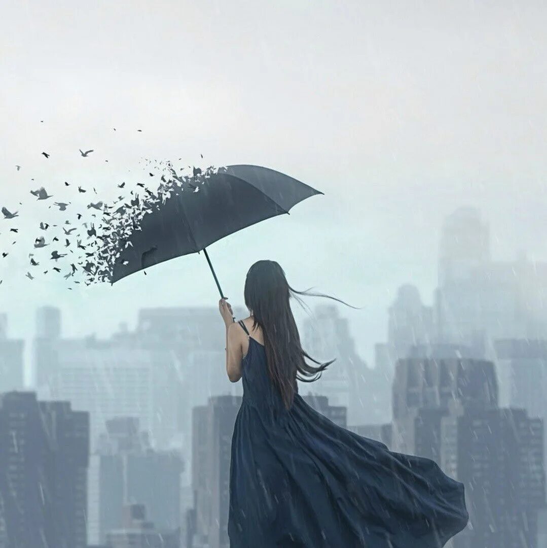 Дождь из птиц. Девушка под дождем. Девушка под зонтом. Силуэт девушки под дождем. Человек ветер.