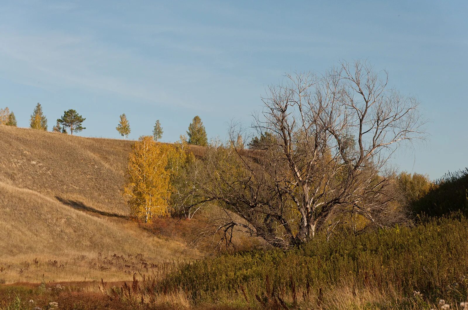 озеро серебряное омская область. горьковское омская область. народный ансамбль веснянка омская область омский район. село серебряное омск. фольклорный ансамбль омск.