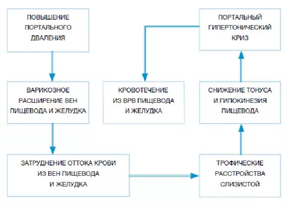 Остановка кровотечения из варикозно расширенных вен. Патогенез кровотечения из варикозно расширенных вен пищевода. Патогенез варикозно расширенных вен пищевода. Варикозно расширенные вены пищевода патогенез. Расширение вен пищевода патогенез.