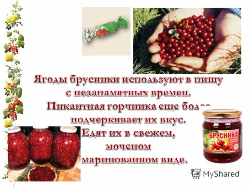 Пудра брусничная. Розовая матча. Брусника в волосах. Брусника для волос. Брусника в косметологии.