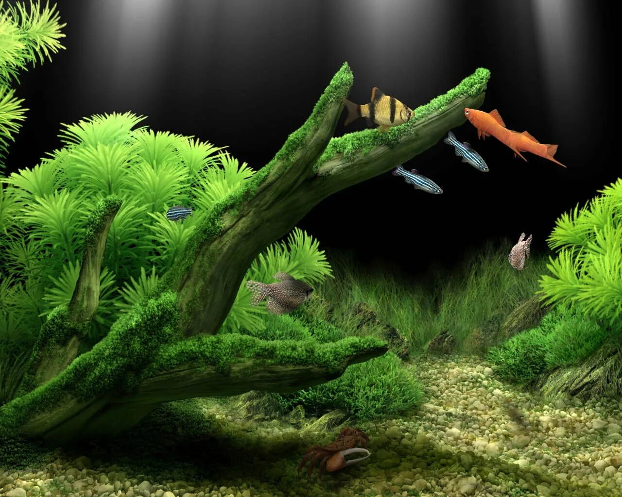 Фон для аквариума на заднюю стенку. Фон для аквариума. Объемный фон для аквариума. Объемный фон для аквариума. Аквариум картинка.