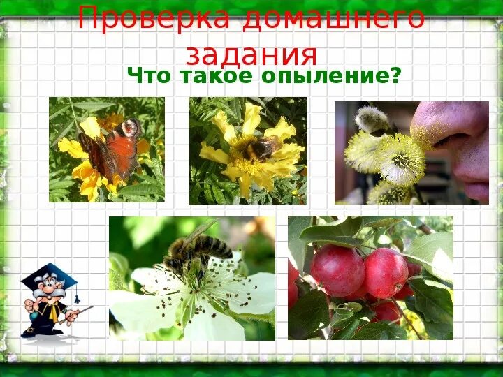 Проект растения 3 класс окружающий. Окружающий мир охрана растений. растения охрана растений 3 класс. растения под охраной 3 класс. охраняемые растения 3 класс окружающий.